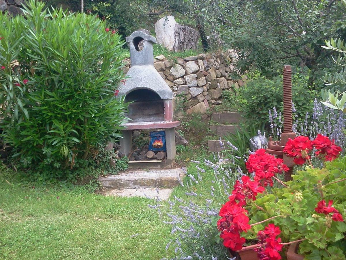 Casa Teresina Villa Collodi Exterior photo